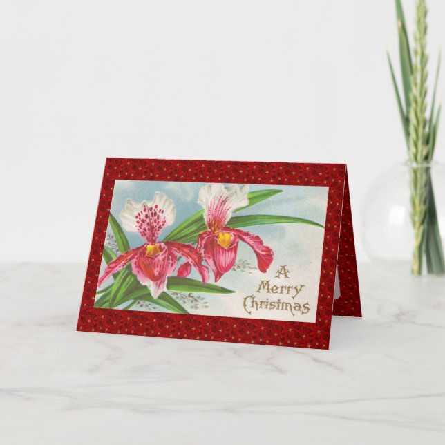 Cartes Pour Fêtes Annuelles Orchidées de Noël (Devant)
