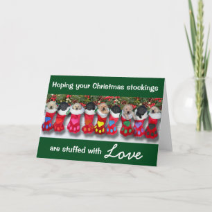 Cartes Pour Fêtes Annuelles Ordures de gratitude de bas de Noël