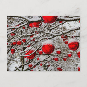 Cartes Pour Fêtes Annuelles Ornements de Noël Baubles rouges branches de neige