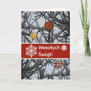 Cartes Pour Fêtes Annuelles Ornements de Noël polonais sur Branches de neige