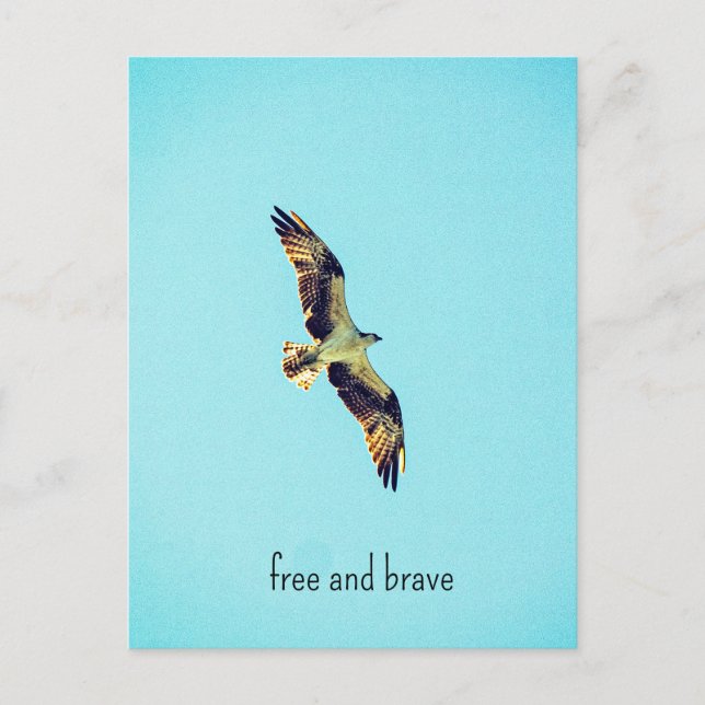 Cartes Pour Fêtes Annuelles Osprey (Devant)