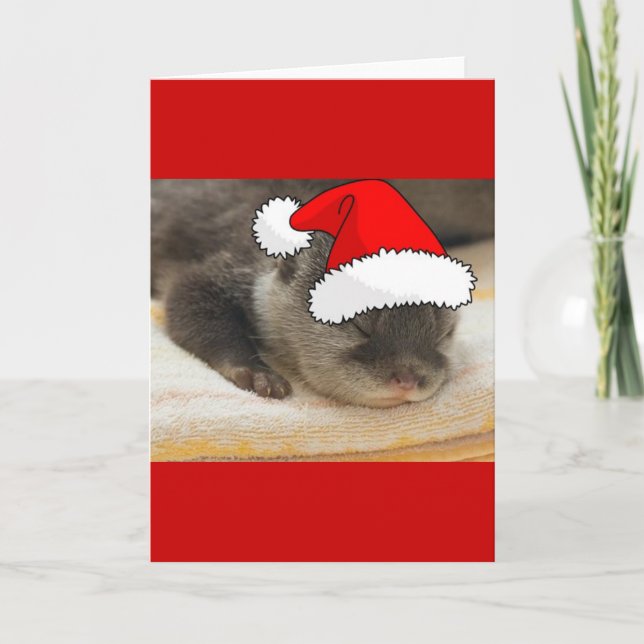 Cartes Pour Fêtes Annuelles Otter de Noël (Devant)