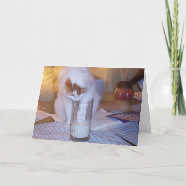 CARTES POUR FÊTES ANNUELLES "OÙ" SONT LES OREOS ? (Devant)