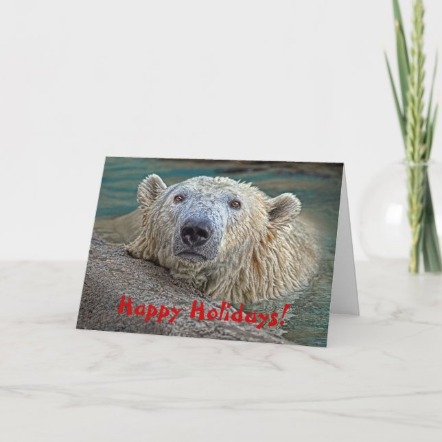 Cartes Pour Fêtes Annuelles Ours blanc bonnes fêtes ! (Devant)