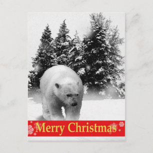 Cartes Pour Fêtes Annuelles Ours blanc de Joyeux Noël !