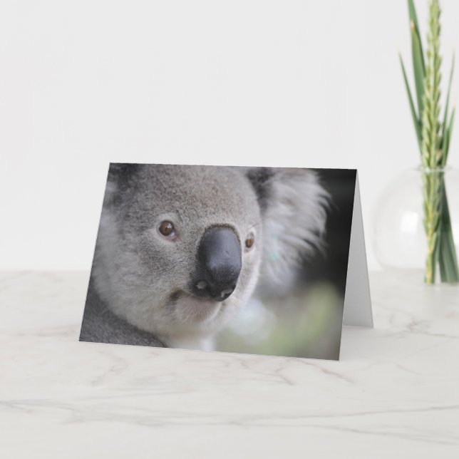 Cartes Pour Fêtes Annuelles Ours de Koala (Devant)