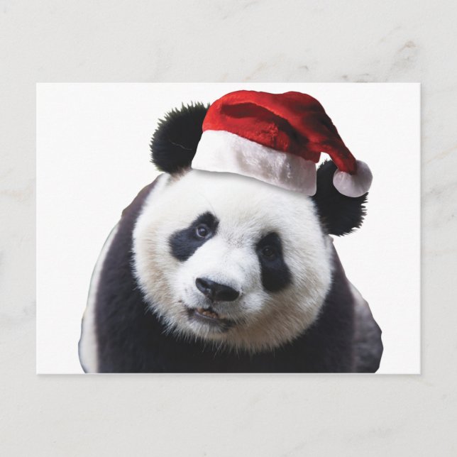 Cartes Pour Fêtes Annuelles Ours de panda de Noël avec chapeau de Père Noël (Devant)