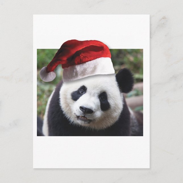 Cartes Pour Fêtes Annuelles Ours de panda Noël (Devant)