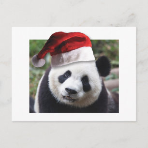 Cartes Pour Fêtes Annuelles Ours de panda Noël