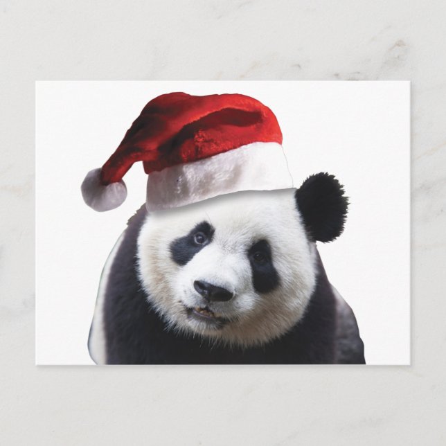 Cartes Pour Fêtes Annuelles Ours de panda Noël (Devant)