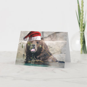 Cartes Pour Fêtes Annuelles Ours grizzli avec chapeau de Père Noël