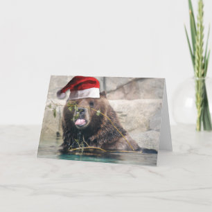 Cartes Pour Fêtes Annuelles Ours Grizzli avec un Chapeau de Père Noël