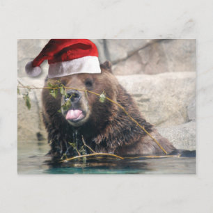 Cartes Pour Fêtes Annuelles Ours grizzli dans un chapeau de Père Noël