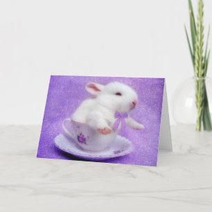 Cartes Pour Fêtes Annuelles Pack De Joie Violet