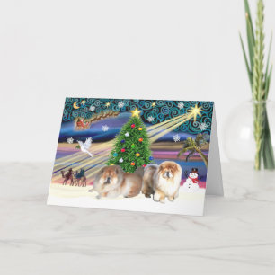 Cartes Pour Fêtes Annuelles Paire de Chow à la magie de Noël