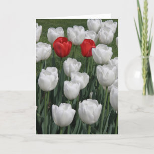 Cartes Pour Fêtes Annuelles Paire parfaite (tulipes rouges et blanches)