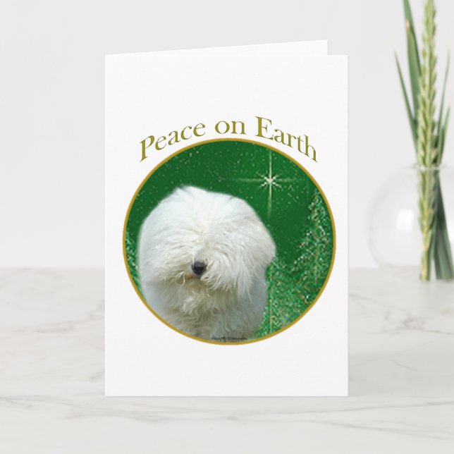 Cartes Pour Fêtes Annuelles Paix de Puli (Devant)