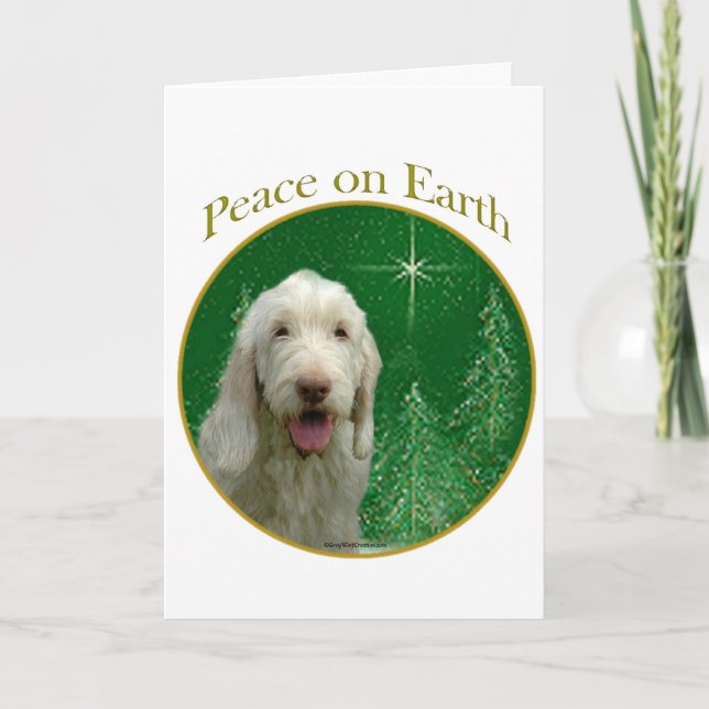 Cartes Pour Fêtes Annuelles Paix de Spinone Italiano (Devant)