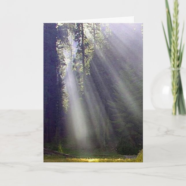 Cartes Pour Fêtes Annuelles Paix et joie (Devant)