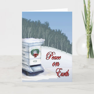 Cartes Pour Fêtes Annuelles paix sur terre