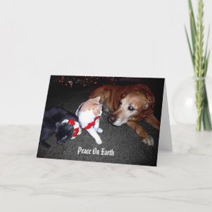 Cartes Pour Fêtes Annuelles Paix sur terre