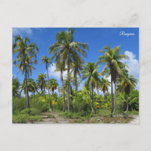 Cartes Pour Fêtes Annuelles palmiers de Rangiroa