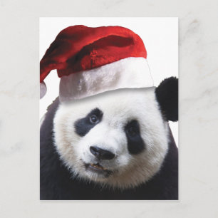 Cartes Pour Fêtes Annuelles Panda bear