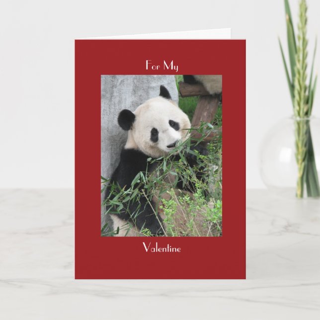Cartes Pour Fêtes Annuelles Panda géant Saint Valentin Câble rouge et câlins (Devant)