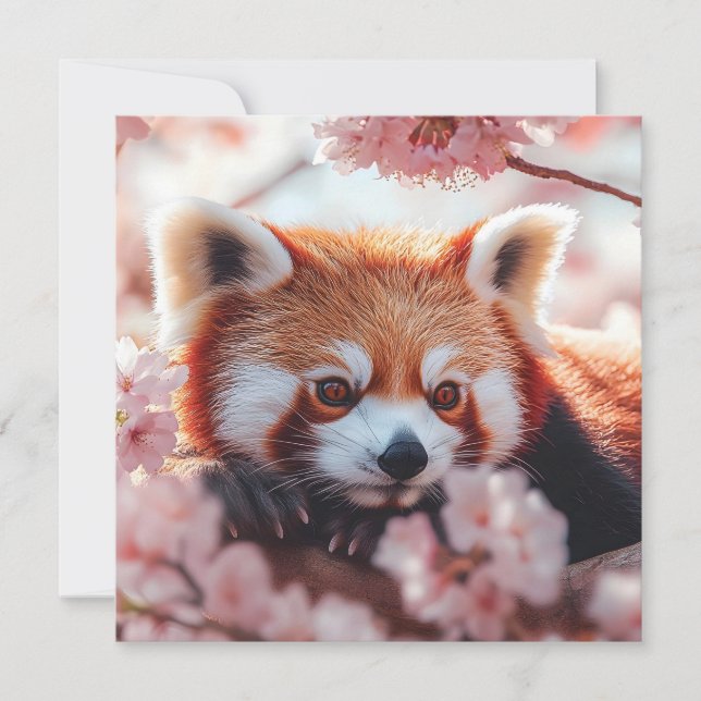 Cartes Pour Fêtes Annuelles Panda Rouge Parmi Les Fleurs De Cerisiers (Devant)