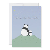 Panda Sous Les Étoiles