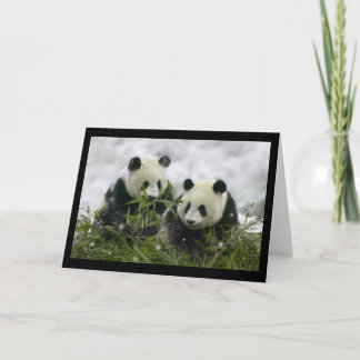 Cartes Pour Fêtes Annuelles Pandas géants