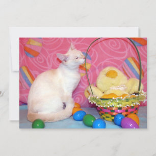 Cartes Pour Fêtes Annuelles Panier de Pâques de Tiffanys - Chat/ Chatons  - Ca