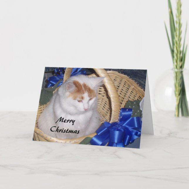 CARTES POUR FÊTES ANNUELLES PANIER REMPLI DE SOUHAITS DE NOËL PURRFECT (Devant)