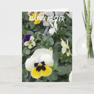 Cartes Pour Fêtes Annuelles Pansies colorées Pâques