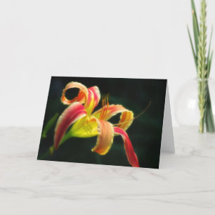 Cartes Pour Fêtes Annuelles Pantalon père Noël diurne