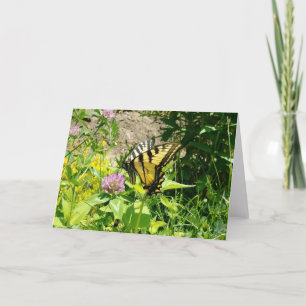 Cartes Pour Fêtes Annuelles Papillon à queue épaisse de tigre - Sur le trèfle