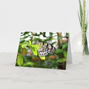Cartes Pour Fêtes Annuelles Papillon kite à papier