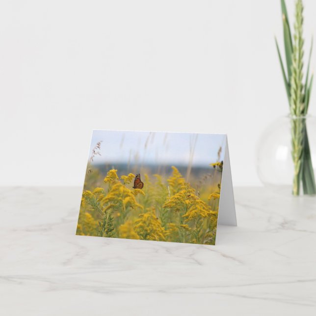 Cartes Pour Fêtes Annuelles Papillon monarque dans le champ (Devant)
