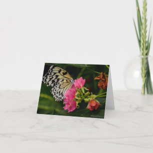 Cartes Pour Fêtes Annuelles Papillon unique sur les fleurs tropicales roses
