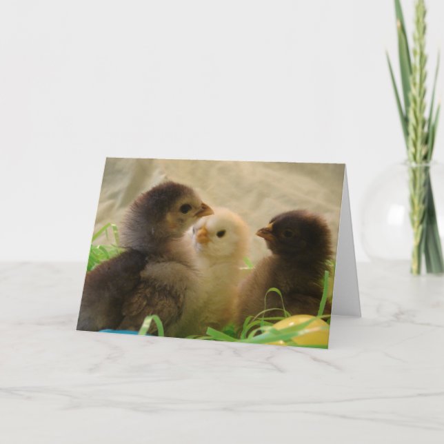 Cartes Pour Fêtes Annuelles Pâques (Devant)