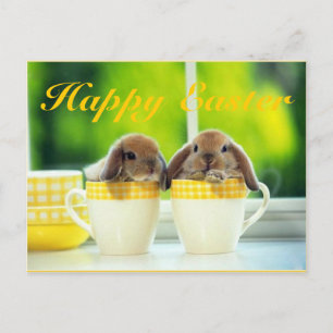 Cartes Pour Fêtes Annuelles Pâques