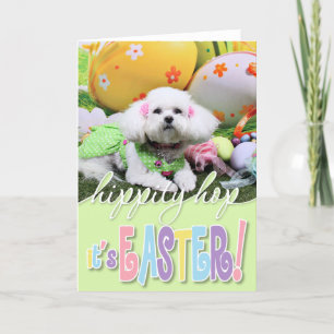 Cartes Pour Fêtes Annuelles Pâques - Bichon Frise - Mia
