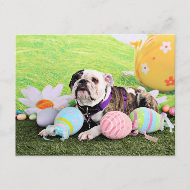 Cartes Pour Fêtes Annuelles Pâques - Bulldog - Delilah (Devant)