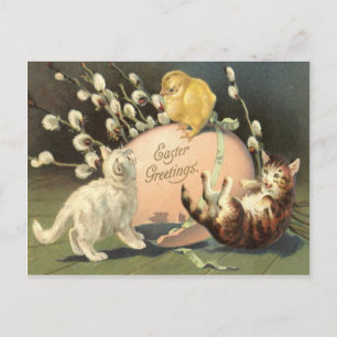 Cartes Pour Fêtes Annuelles Pâques Chat Chaton Oeuf Coloré Peint Poussin