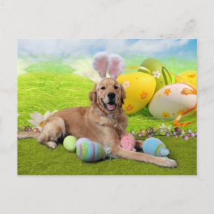 Cartes Pour Fêtes Annuelles Pâques - Golden Retriever - Frank