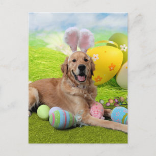 Cartes Pour Fêtes Annuelles Pâques - Golden Retriever - Frank