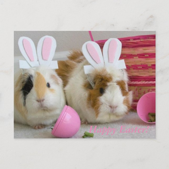 Cartes Pour Fêtes Annuelles pâques heureux (Devant)