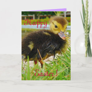Cartes Pour Fêtes Annuelles Pâques III