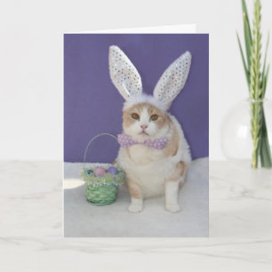 Cartes Pour Fêtes Annuelles Pâques Kitty