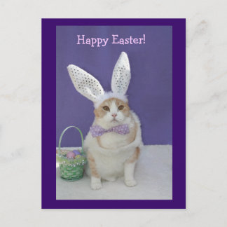 Cartes Pour Fêtes Annuelles Pâques Kitty